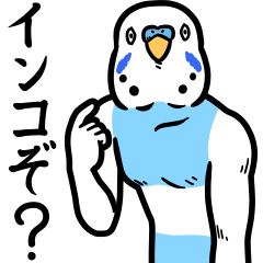 [LINEスタンプ] メンドクサインコ、再び