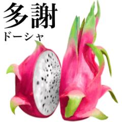 [LINEスタンプ] 白果肉 ドラゴンフルーツ 【台湾語】