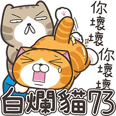 [LINEスタンプ] ランラン猫 73 (台湾版)