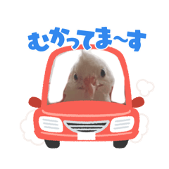 [LINEスタンプ] ヒメウズラの一日②