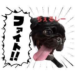 [LINEスタンプ] kanakumaファミリー1