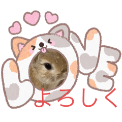[LINEスタンプ] うさぎとカメ1