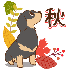 [LINEスタンプ] ダックス大好き【秋】黒タン