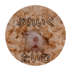 [LINEスタンプ] 日常のごう