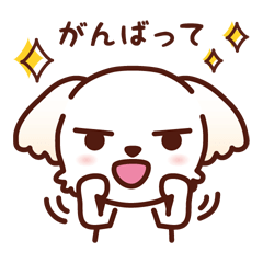 [LINEスタンプ] マルチーズ_今の思い