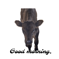 [LINEスタンプ] Livestock. Stamp.