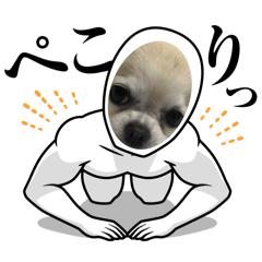 [LINEスタンプ] みるみるみるみるみるみる