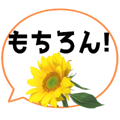 [LINEスタンプ] *花* ひまわり＆吹き出し Colorful
