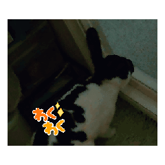 [LINEスタンプ] 私の動くスタンプ❶ 