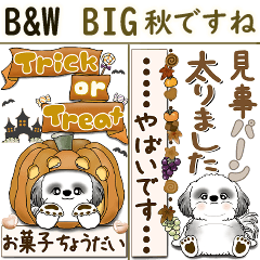 [LINEスタンプ] 【Big】B＆Wのシーズー犬 『秋』2025