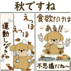 [LINEスタンプ] 【Big】プードルさん 『秋』2025
