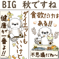 [LINEスタンプ] 【Big】シーズー犬 『秋』2025