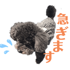 [LINEスタンプ] COCOピヨの幸せ