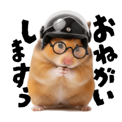 [LINEスタンプ] かわちい！まるめがねハム星