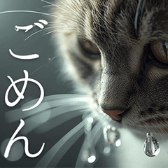 [LINEスタンプ] 猫好きに送る おしゃれなスタンプ