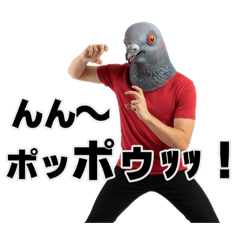 [LINEスタンプ] はとポゥポゥッッ！スタンプだにょす