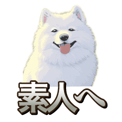 [LINEスタンプ] 犬味 素人へ
