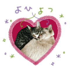 [LINEスタンプ] よひよつ