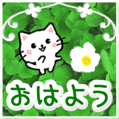 [LINEスタンプ] 飛び出す！大人やさしい野の花とネコ