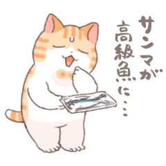[LINEスタンプ] ちょっと暑い秋を過ごす猫のトミー