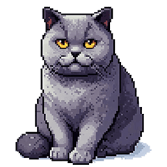[LINEスタンプ] 無言で伝えるブリティッシュショートヘア