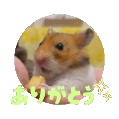 [LINEスタンプ] てんてんが動くでち！ fetchpriority=high