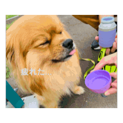 [LINEスタンプ] はね あっくスタンプ 