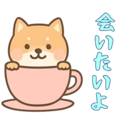 [LINEスタンプ] カップから犬3（日常）