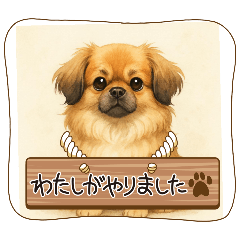 [LINEスタンプ] チベタンスパニエルイラスト