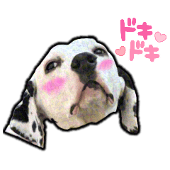 [LINEスタンプ] リアルみつをでござぃ！その1