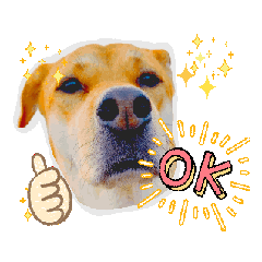 [LINEスタンプ] 耳たれ犬マリンStamp 