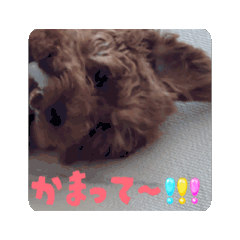 [LINEスタンプ] うちの子うにくん(動くver) 