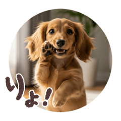 [LINEスタンプ] ミニチュアダックスの挨拶 感情です