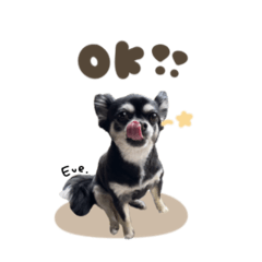 [LINEスタンプ] イヴちゃん♡スタンダード