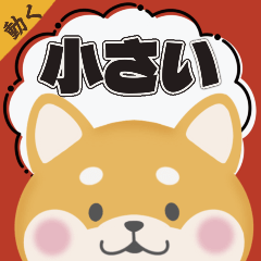 [LINEスタンプ] ちいさな柴犬＊毎日つかえる」