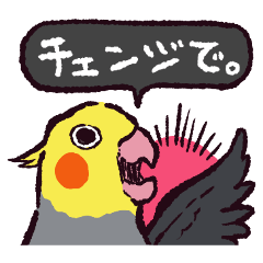 [LINEスタンプ] オカメインコです。