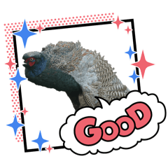 [LINEスタンプ] 雉ver1