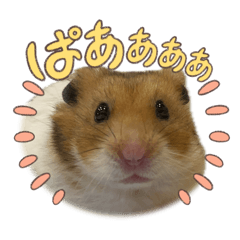 [LINEスタンプ] てんてんすたんぷ#2 fetchpriority=high