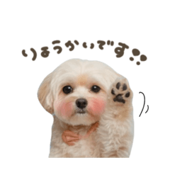 [LINEスタンプ] AIマルプー
