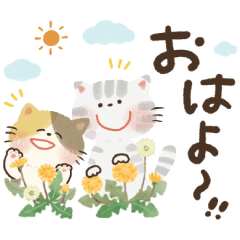 [LINEスタンプ] 毎日つかえる♡前向きにっこり猫♡秋冬