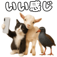 [LINEスタンプ] 仲良し三匹 記念写真編