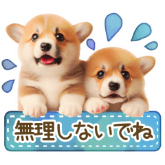 [LINEスタンプ] ネガティブなコーギーのスタンプ✿.•