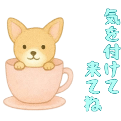 [LINEスタンプ] [気を付けて来てね専用]カップからイヌ