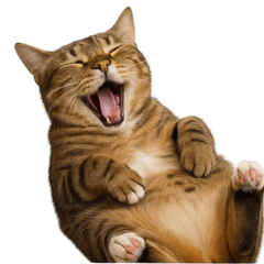 [LINEスタンプ] トラ猫（とらねこ / Tora-neko）