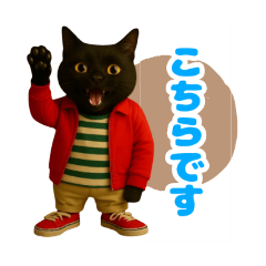 [LINEスタンプ] ほうせんか猫の部屋 普段使えるスタンプ