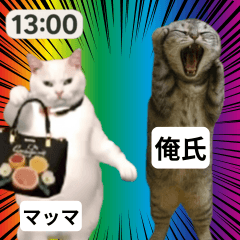 [LINEスタンプ] 猫ミームで会話⭐作成セット⭐アレンジ推奨⭐