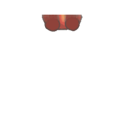 [LINEスタンプ] だるだるま 克己自彊2