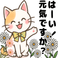 [LINEスタンプ] かわいいネコの四季スタンプ