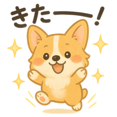 [LINEスタンプ] ゆるふわコーギー☆かわいい日常スタンプ