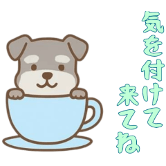 [LINEスタンプ] [気を付けて来てね専用]カップから犬